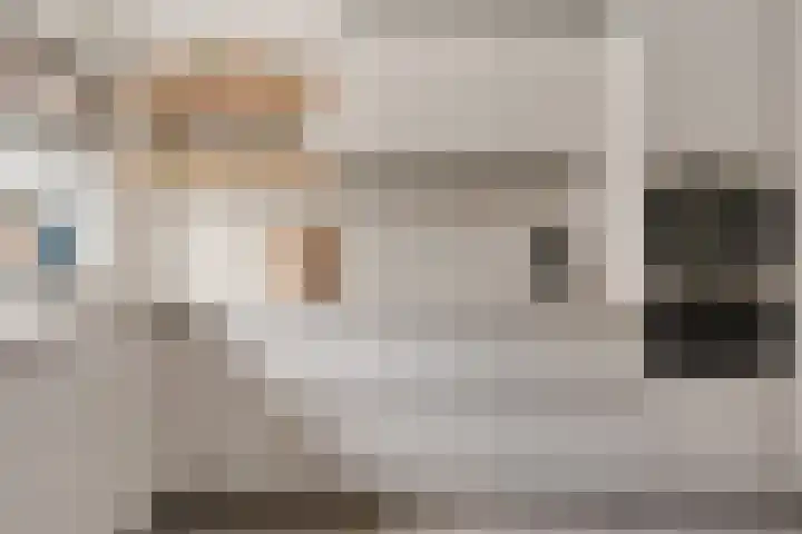 Adelaar 24 Oss thumbnail 21
