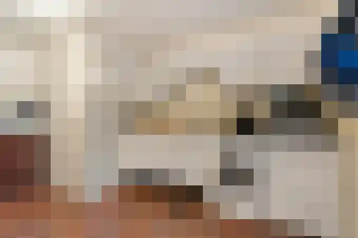 Adelaar 24 Oss thumbnail 22