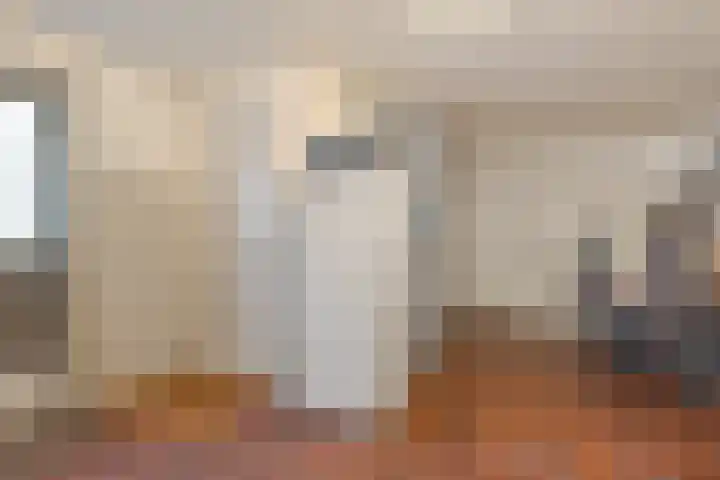 Adelaar 24 Oss thumbnail 23
