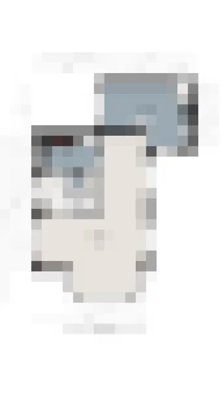 Adelaar 24 Oss thumbnail 24