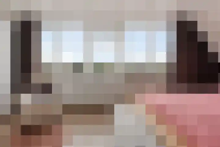 Adelaar 24 Oss thumbnail 26