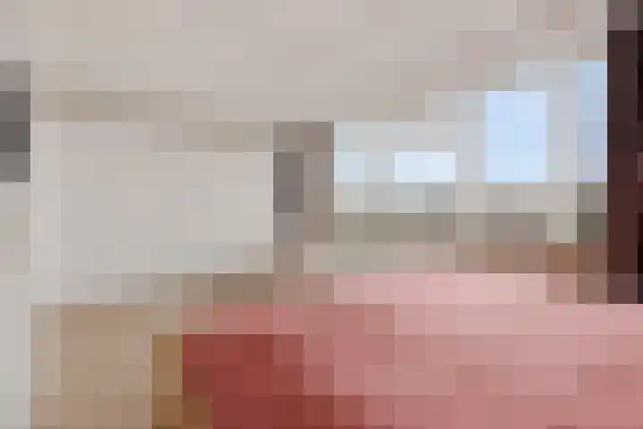 Adelaar 24 Oss thumbnail 29