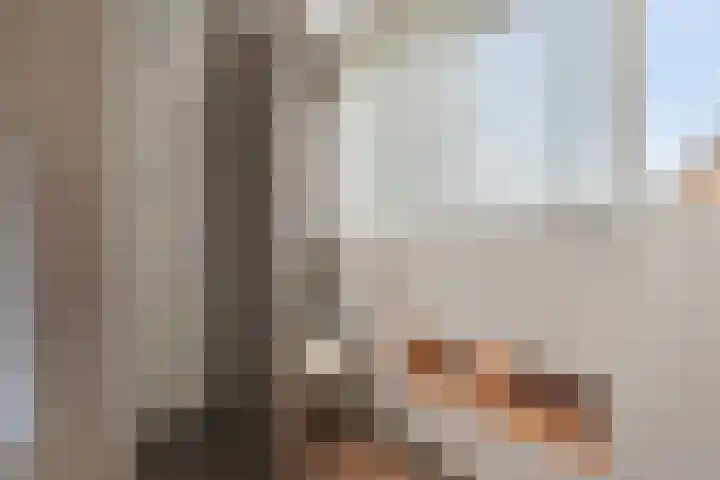 Adelaar 24 Oss thumbnail 30