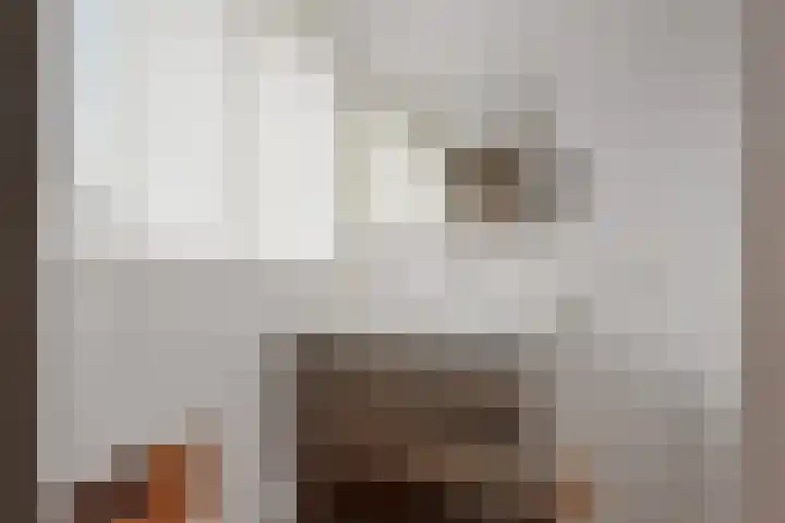 Adelaar 24 Oss thumbnail 31