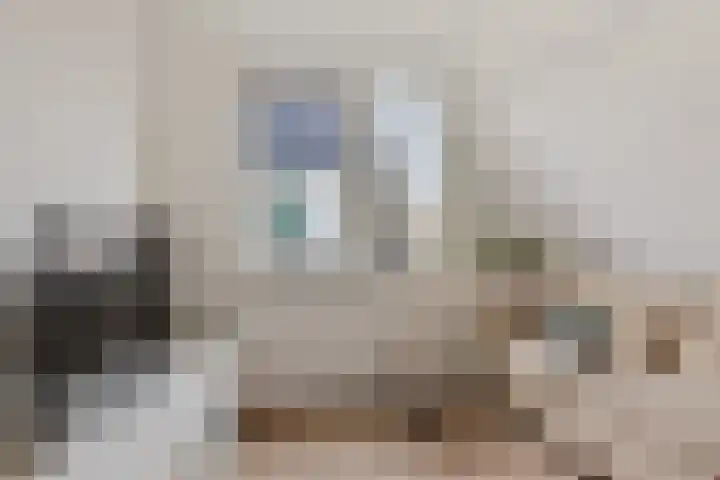 Adelaar 24 Oss thumbnail 34