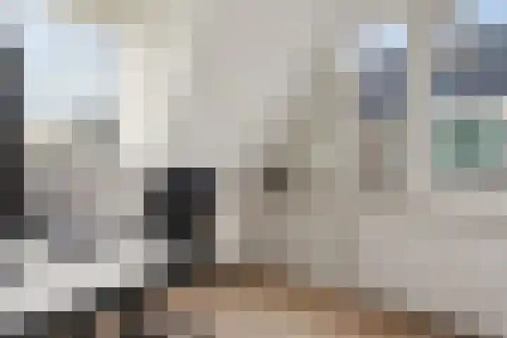 Adelaar 24 Oss thumbnail 35
