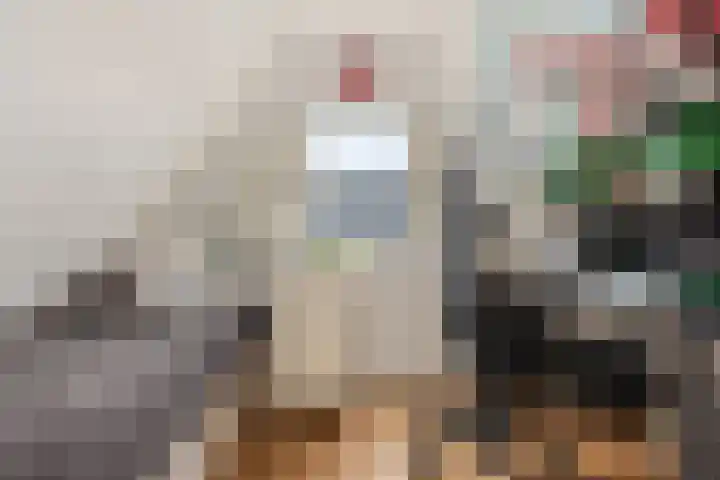 Adelaar 24 Oss thumbnail 39