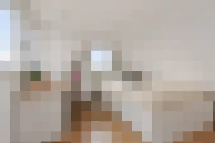 Adelaar 24 Oss thumbnail 40