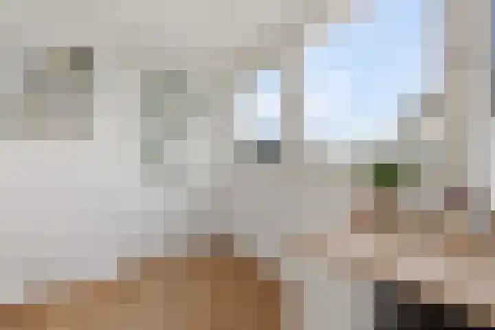 Adelaar 24 Oss thumbnail 41