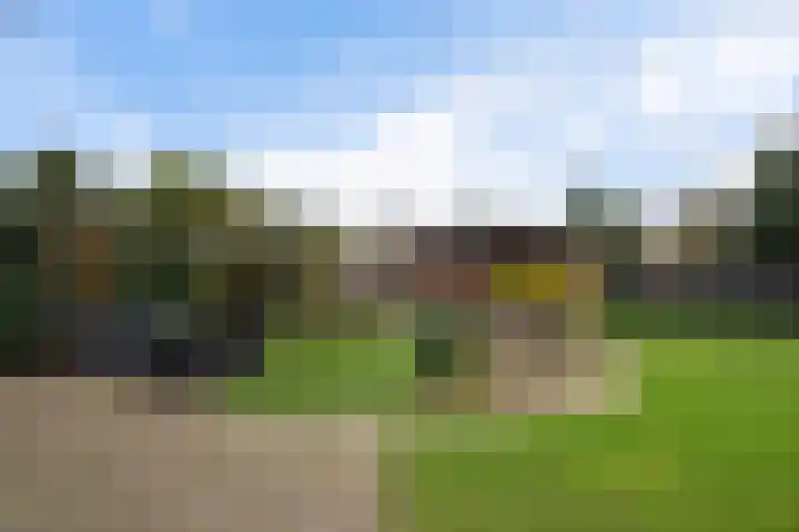 Adelaar 24 Oss thumbnail 43