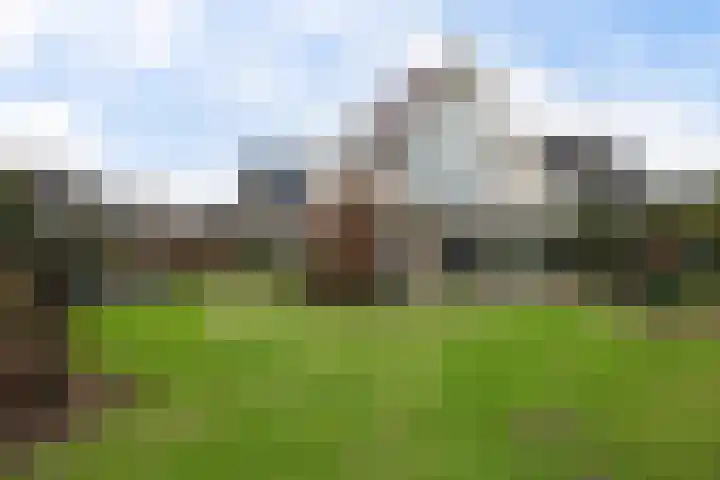 Adelaar 24 Oss thumbnail 44