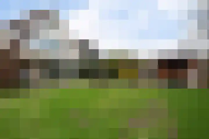 Adelaar 24 Oss thumbnail 45