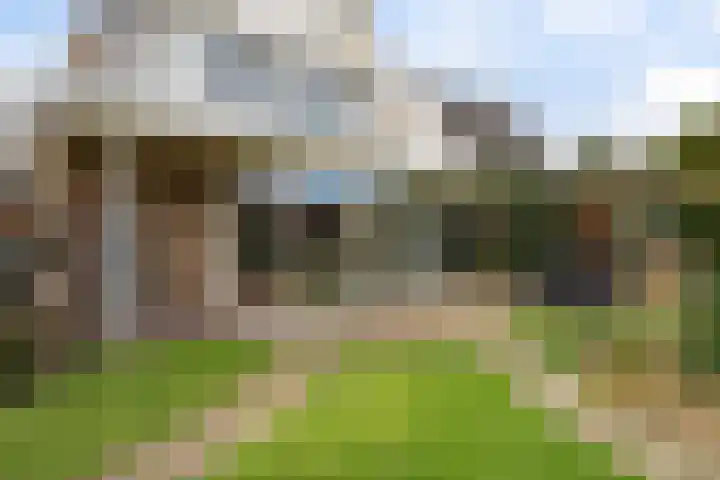 Adelaar 24 Oss thumbnail 48