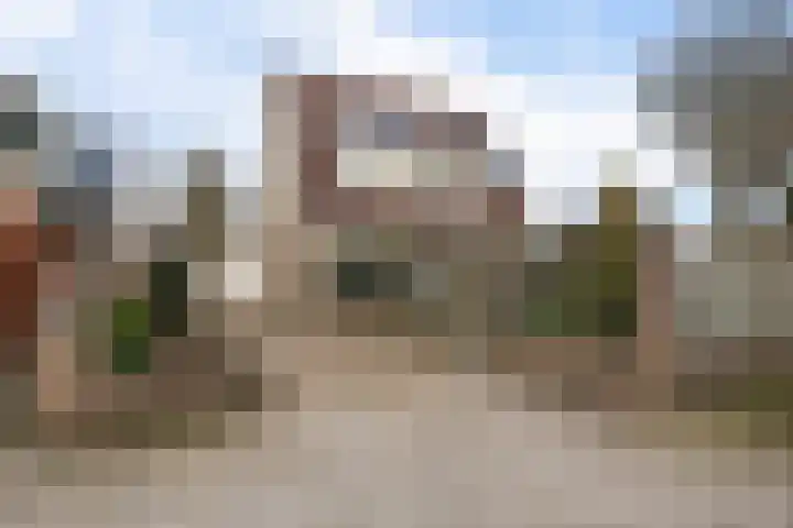 Adelaar 24 Oss thumbnail 6