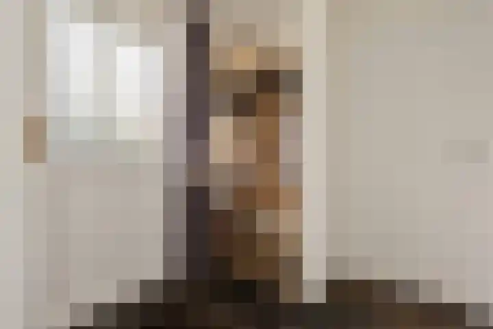 Adelaar 24 Oss thumbnail 7