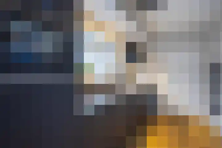 Adelaar 30 Oss thumbnail 12