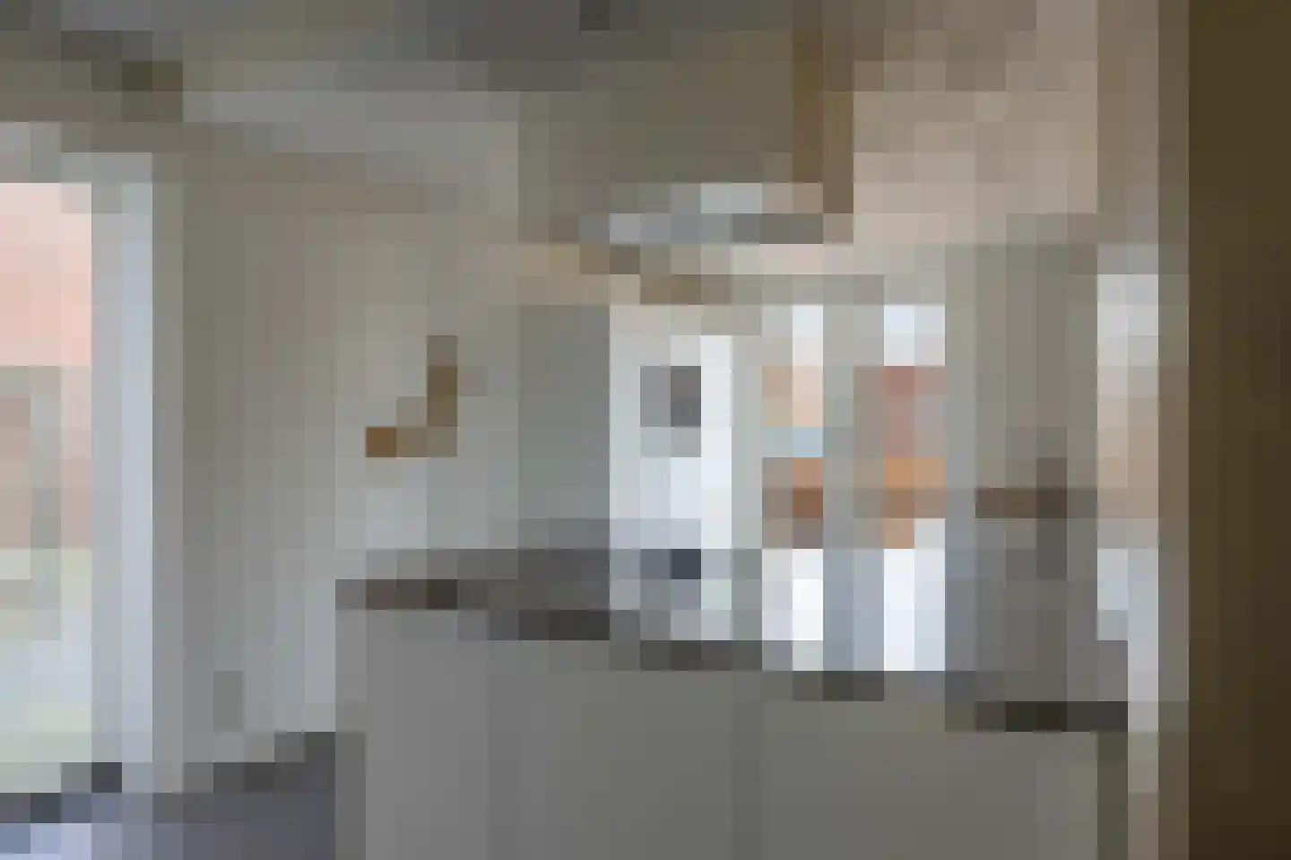 Adelaar 35 Venray thumbnail 12