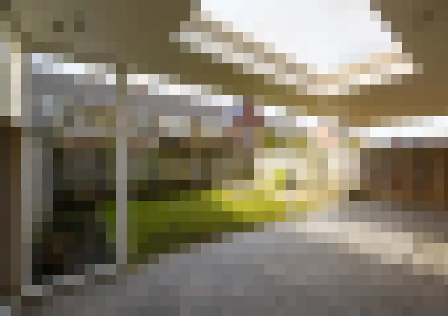 Adelaar 35 Venray thumbnail 28