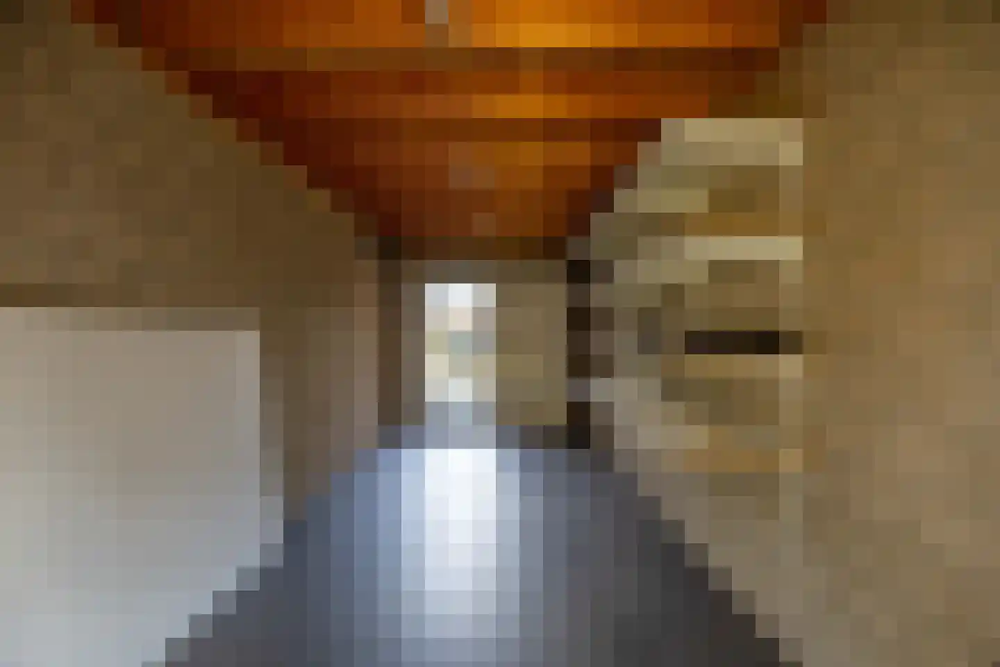 Adelaar 35 Venray thumbnail 31