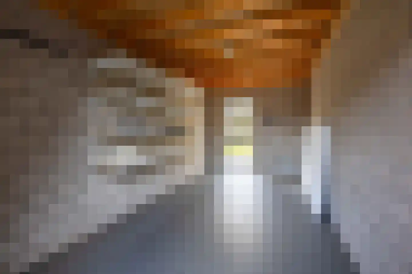 Adelaar 35 Venray thumbnail 32
