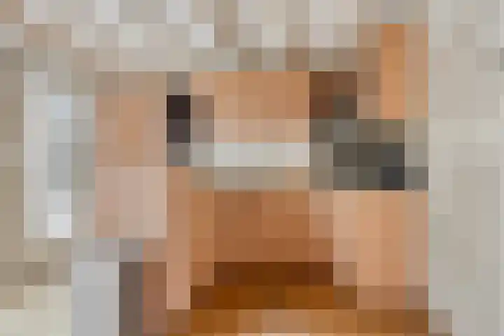 Adelaar 51 Oss thumbnail 10