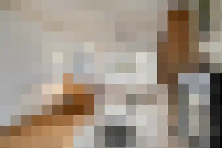 Adelaar 51 Oss thumbnail 12