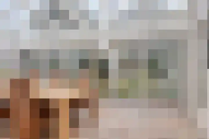 Adelaar 51 Oss thumbnail 16