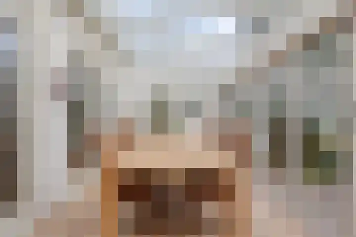 Adelaar 51 Oss thumbnail 17