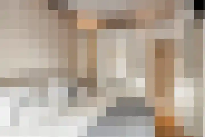 Adelaar 51 Oss thumbnail 19