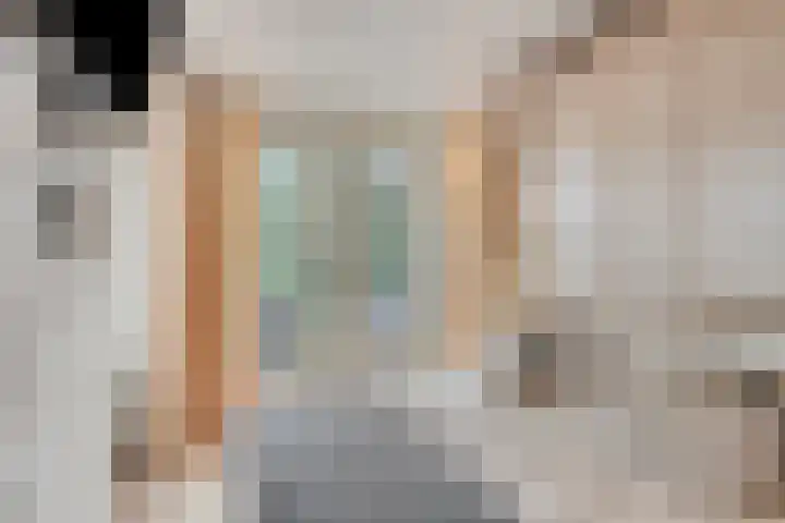 Adelaar 51 Oss thumbnail 20