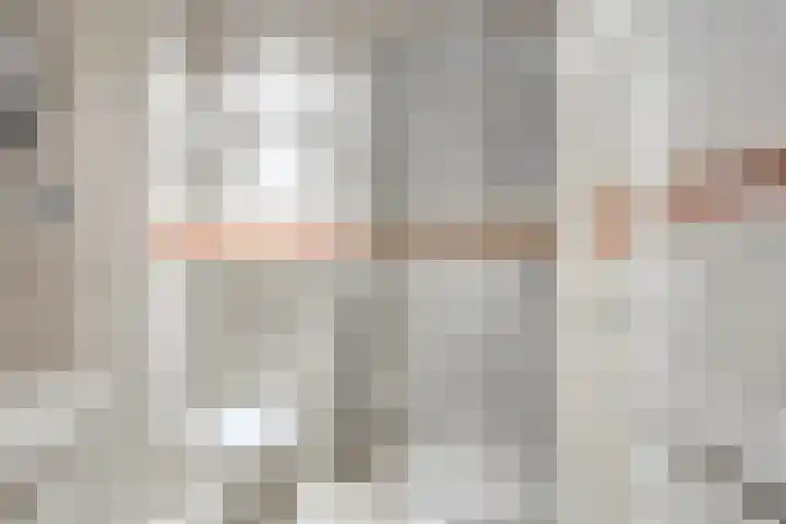 Adelaar 51 Oss thumbnail 21