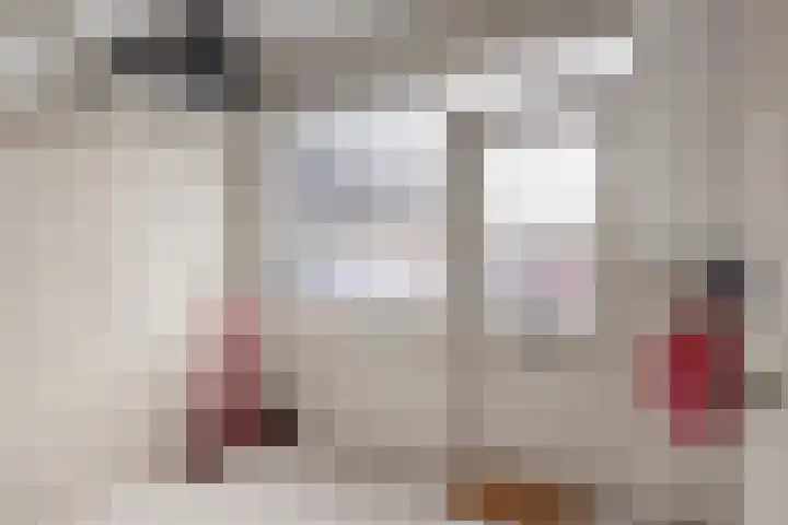 Adelaar 51 Oss thumbnail 23