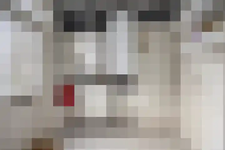 Adelaar 51 Oss thumbnail 24