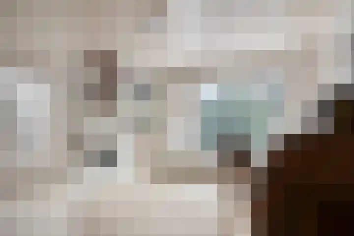Adelaar 51 Oss thumbnail 26