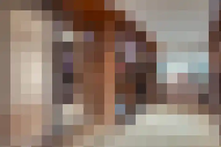 Adelaar 51 Oss thumbnail 35