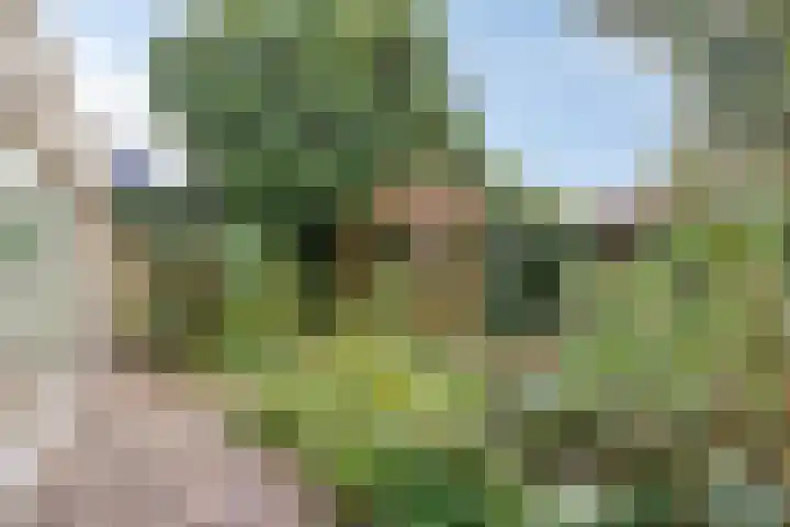 Adelaar 51 Oss thumbnail 39