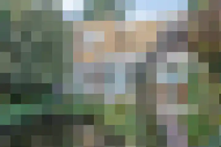 Adelaar 51 Oss thumbnail 40