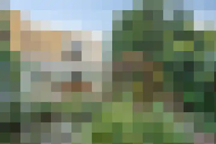 Adelaar 51 Oss thumbnail 41