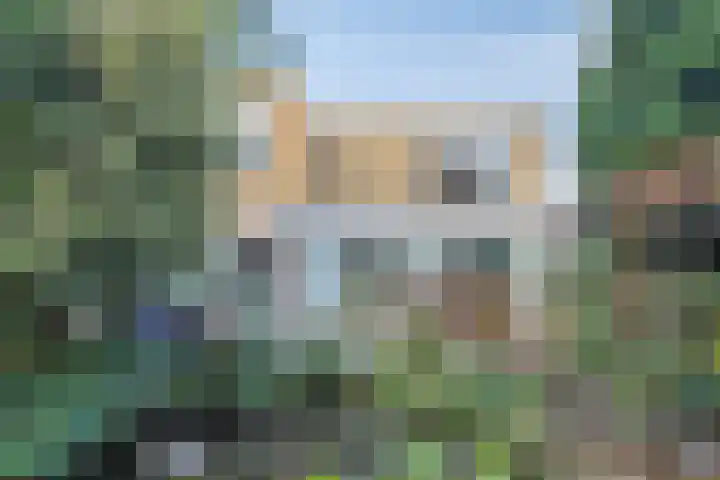 Adelaar 51 Oss thumbnail 42