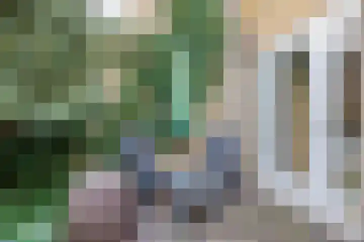 Adelaar 51 Oss thumbnail 43
