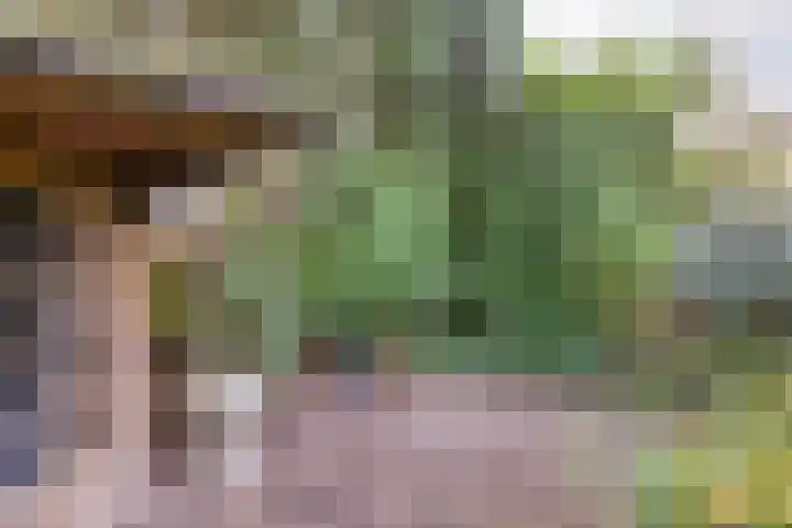 Adelaar 51 Oss thumbnail 44