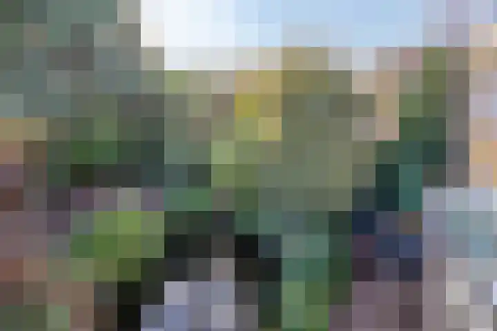 Adelaar 51 Oss thumbnail 45