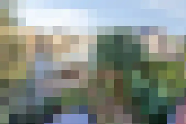 Adelaar 51 Oss thumbnail 46
