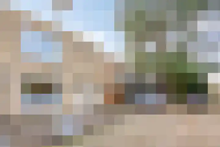 Adelaar 51 Oss thumbnail 5