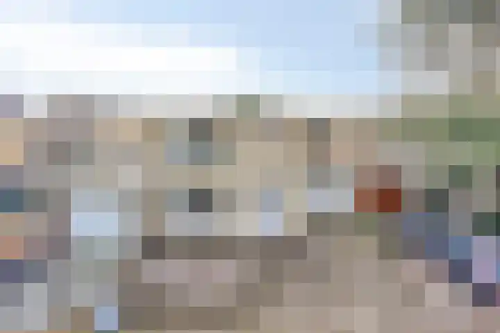 Adelaar 51 Oss thumbnail 6