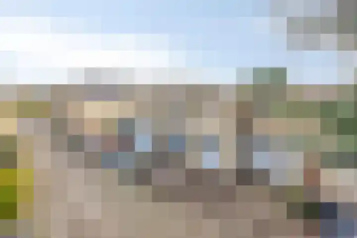 Adelaar 51 Oss thumbnail 7