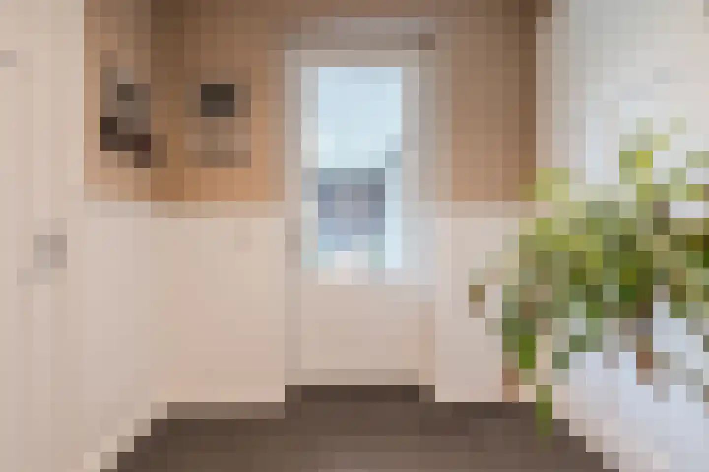 Adelaarshof 6 Elsendorp thumbnail 20