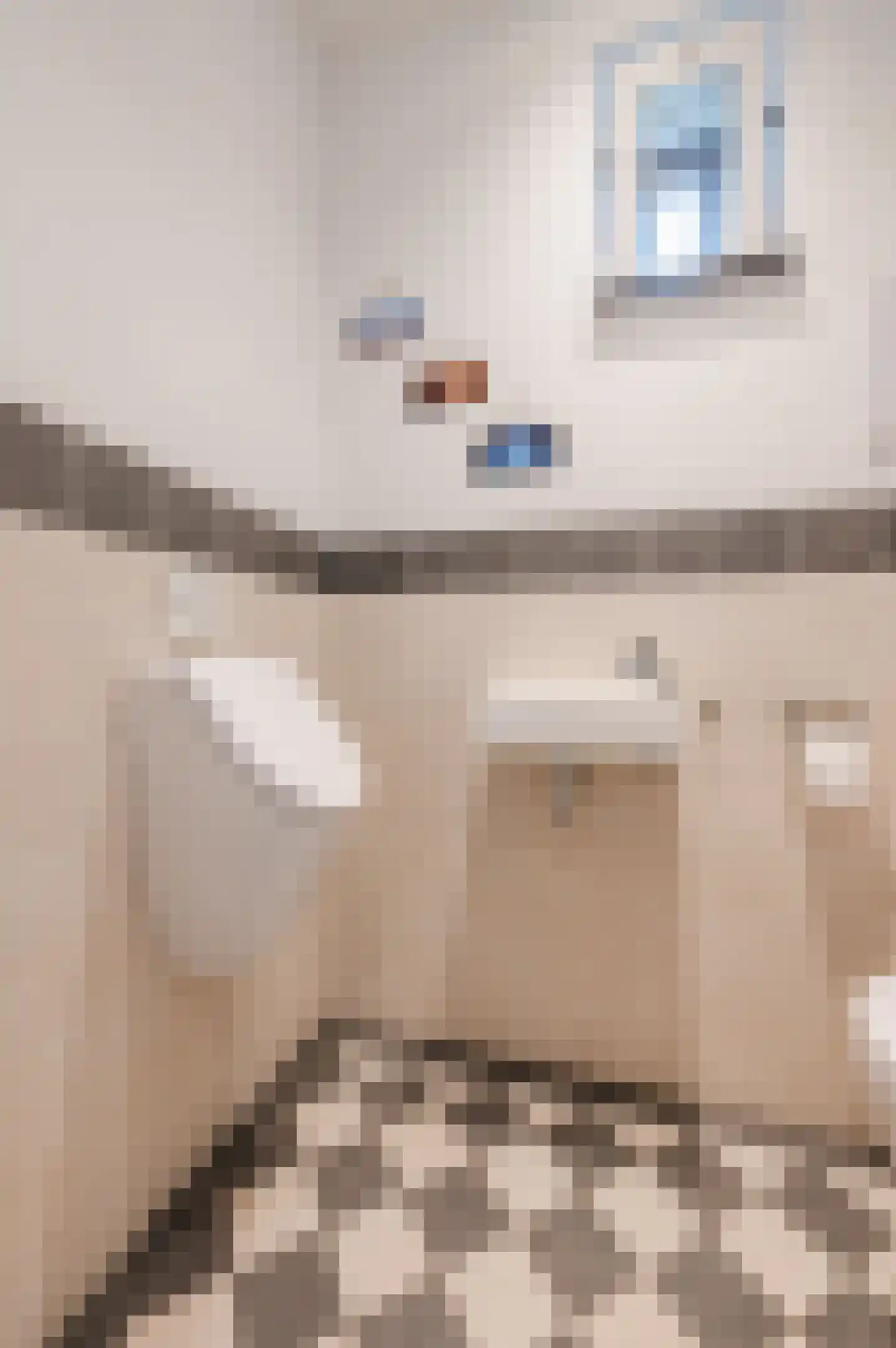 Adelaarshof 6 Elsendorp thumbnail 22