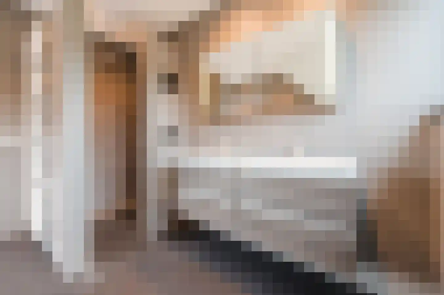 Adelaarshof 6 Elsendorp thumbnail 36