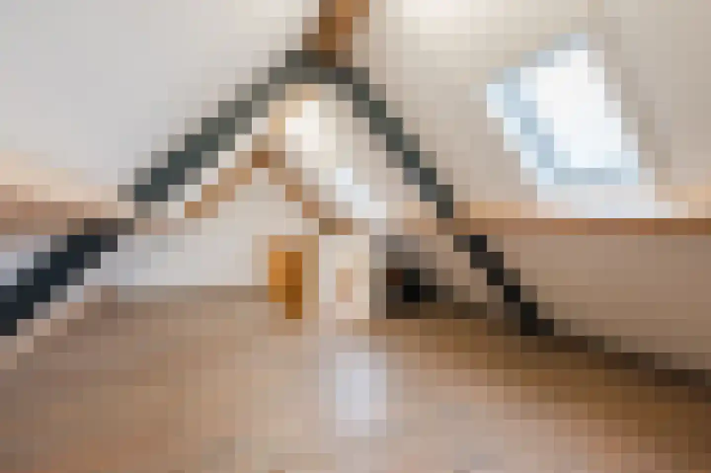 Adelaarshof 6 Elsendorp thumbnail 40